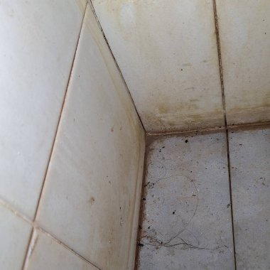 Duvarlarda ve banyoda toprak birikmiş..