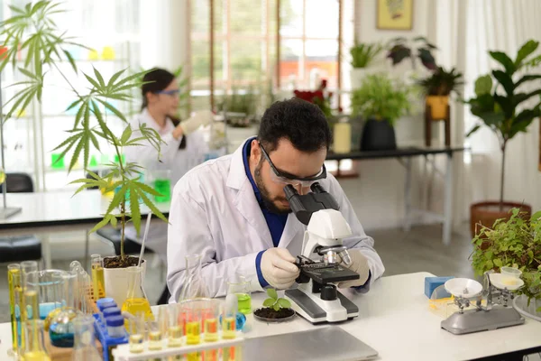 Grupp Medicinska Forskare Manliga Och Kvinnliga Som Arbetar Med Mikroskoptestutrustning — Stockfoto