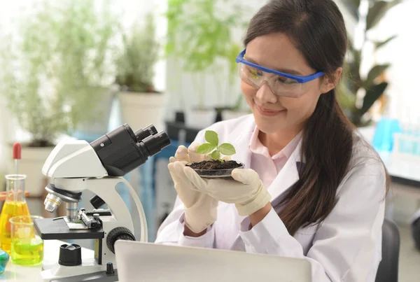 Kvinnlig Forskare Eller Forskare Ett Labb Tittar Mikroskopiska Medicinska Tester — Stockfoto