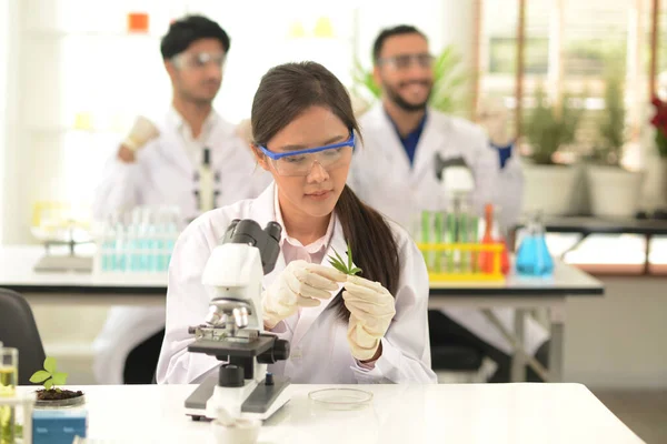 Grupp Medicinska Forskare Manliga Och Kvinnliga Som Arbetar Med Mikroskoptestutrustning — Stockfoto