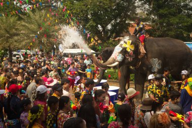 AYUTTHAYA , THAILAND - APRIL13, 2018: Elephants are using their trunks to spray water for Thai people and foreign tourists having fun. During the Songkran Festival, the traditional Thai New Year. At the road in Ayutthaya province, Middle of Thailand.