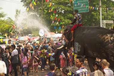 AYUTTHAYA , THAILAND - APRIL13, 2018: Elephants are using their trunks to spray water for Thai people and foreign tourists having fun. During the Songkran Festival, the traditional Thai New Year. At the road in Ayutthaya province, Middle of Thailand.