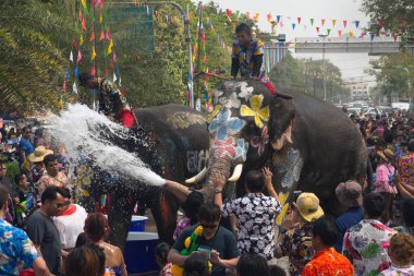 AYUTTHAYA , THAILAND - APRIL13, 2018: Elephants are using their trunks to spray water for Thai people and foreign tourists having fun. During the Songkran Festival, the traditional Thai New Year Day . At the Naresuan road in Ayutthaya city ,Thailand.