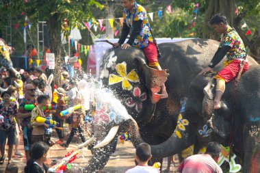 Ayutthaya, Thailand - April 13,2018: Thai people and traveler foreigner join with Songkran Festival is celebrated in a traditional New Year's Day from April 13 to 15, with the splashing water with elephants at a road in Ayutthaya Province ,Thailand. 