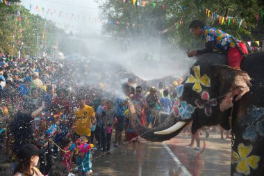 AYUTTAYA ,THAILAND - APRIL 13,2018 : Songkran Festival is celebrated in a Traditional New Year's Day from April 13 to 15, with the splashing water with elephants in Ayuttaya Province , Middle of Thailand. 