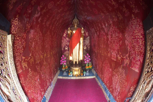 Zlatý Buddha Stojící Stupínku Předvádí Abhayamudra Gesto Wat Xieng Thong — Stock fotografie