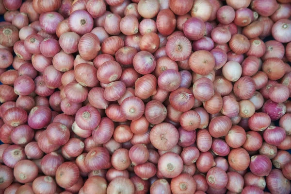 Yaygın Soğan Yığınının Dokusu Arkaplanı Soğan Soğanları Çiğ Sebzeler Taze — Stok fotoğraf