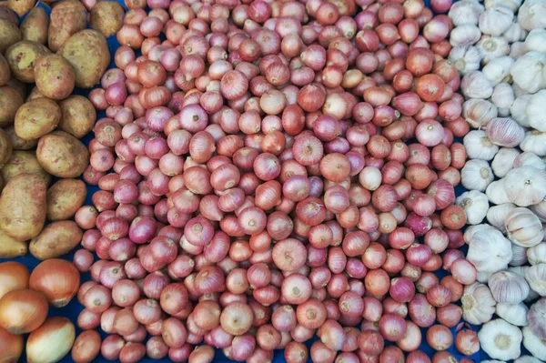Yaygın Soğan Beyaz Sarımsak Patates Soğanı Çiğ Sebzeler Taze Organik — Stok fotoğraf