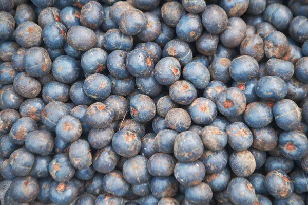 Livistona Specosa Dokular Arka Planda Bol Miktarda Olgunlaşmış Meyve Yiyecek — Stok fotoğraf