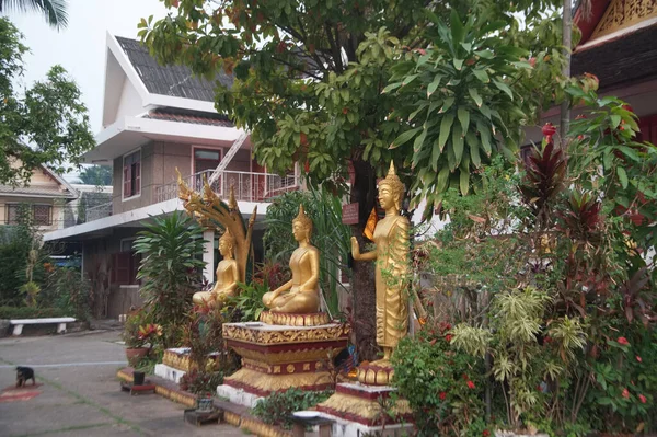 许多金色的坐立佛像 在万迈苏凡纳普马兰 Wat Mai Souvannapoumaram 建立了一个户外寺庙 是朗普拉邦最大的寺庙 而且是一个游客常去的重要地方 位于老挝北部卢安普拉邦省 — 图库照片