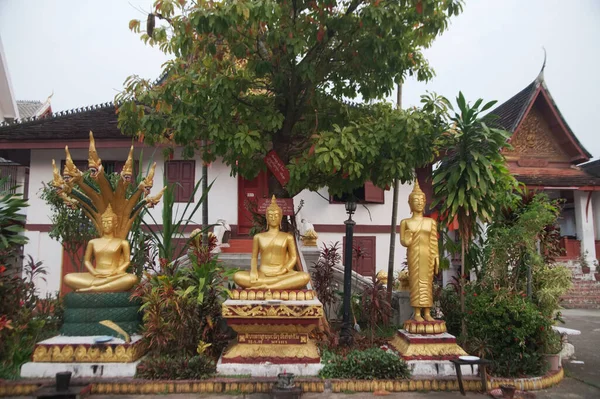 许多金色的坐立佛像 在万迈苏凡纳普马兰 Wat Mai Souvannapoumaram 建立了一个户外寺庙 是朗普拉邦最大的寺庙 而且是一个游客常去的重要地方 位于老挝北部卢安普拉邦省 — 图库照片