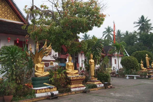 Many Golden Sitting Standing Buddhas Set Outdoor Wat Mai Souvannapoumaram — Stock Photo, Image