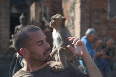 LOPBURI, THAILAND - 25 Kasım 2018: Tanımlanamayan turistler maymunlarla eğlencelidir. Tayland 'ın ortasında Lopburi' de Phra Phang Sam Yot 'ta omuzlarına ve kafasına tırmandı..