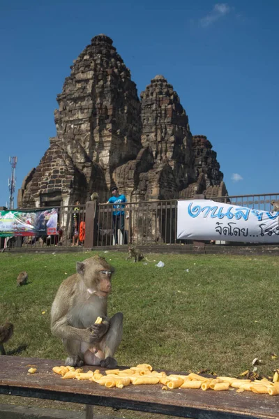 2018 Lopburi Thailand November 2018 원숭이들은 중부의 Phra Prang Sam — 스톡 사진