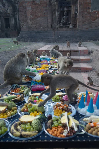 Lopburi Thailand November 2018 Monkeys Enjoy Eating Local Fruits Vegetables — Stock Photo, Image