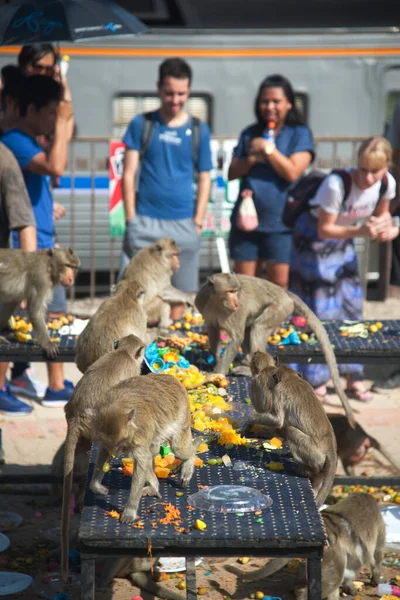 Lopburi Tailandia Noviembre 2018 Los Monos Disfrutan Comiendo Frutas Locales — Foto de Stock
