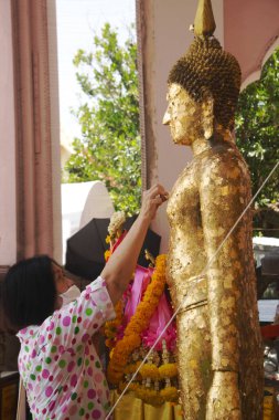 Phra Pathom Chedi 'de Buda' nın resmine altın yaprak yapıştıran Asyalı yaşlı kadın. Tayland 'ın ortasında Nakhon Pathom Eyaleti' nde yer almaktadır..