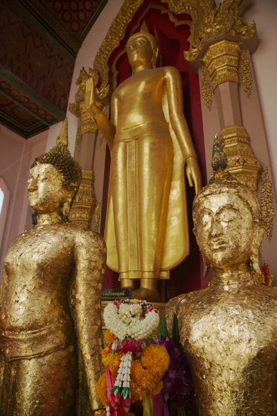 Phra Ruang Rojanarit和几个常设佛像在Wat Phra Pathom Chedi的黄金画像 这是一个受到国家崇敬的神圣佛像 公众信仰 位于泰国中部的Nakhon Pathom省 — 图库照片