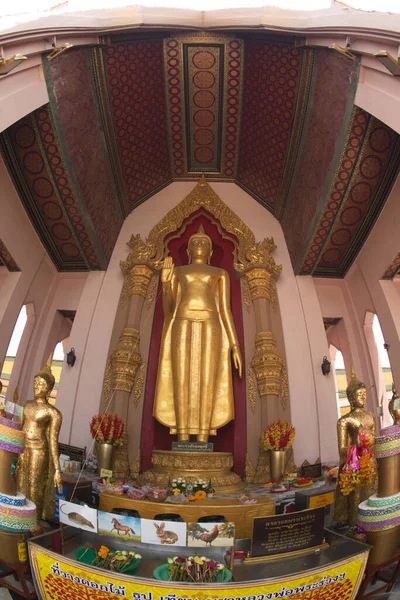 Phra Ruang Rojanarit是金立佛的形象 是华府道切迪的主要佛像 它是泰国中部那孔道省的一个神圣的佛像 — 图库照片