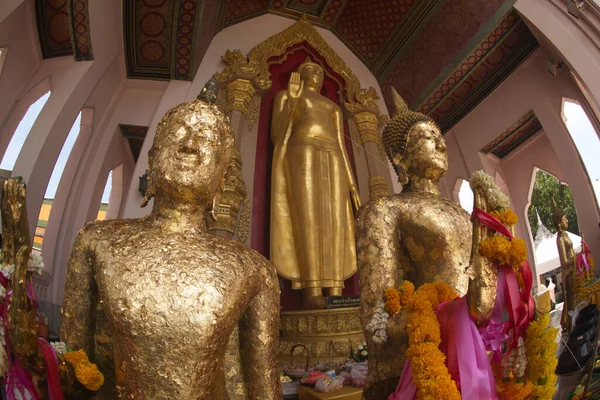 Phra Ruang Rojanarit Plusieurs Images Debout Bouddha Wat Phra Pathom — Photo