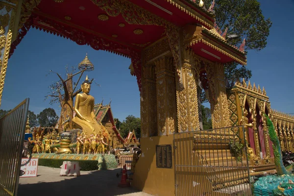 Den Stora Buddha Som Mottar Offer Från Elefant Och Apa — Stockfoto