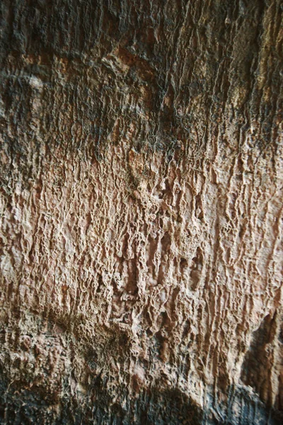 Textuur Achtergrond Van Het Oppervlak Van Klif Veroorzaakt Door Kalksteenberg — Stockfoto