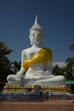 Pha Phrom Phumi Palo, Tayland 'ın en simetrik ve güzel Buda görüntülerinden biri olan oturma pozisyonunda büyük beyaz bir Buda figürüdür. Tayland 'ın Kalasin eyaletindeki Wat Phu Sing' de..