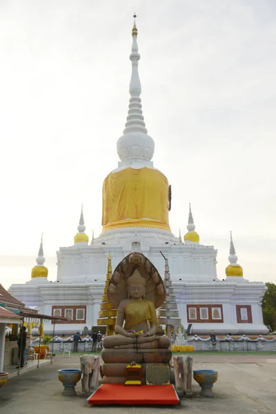 Pagoda Phra Dun Dur Bölgenin Refahı Için Inşa Edilmiş Kutsal — Stok fotoğraf