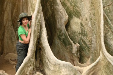 Güzel bir Asyalı kadın büyük bir ağacın dibinde poz veriyor ve mutlu poz veriyor. Ve bu ağaç çok büyük ve Taylandlı turistler için popüler bir cazibe. Tayland 'ın Uthai Thani eyaletinde yer almaktadır..