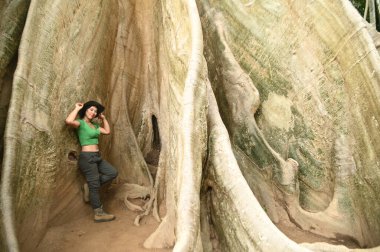 Güzel bir Asyalı kadın büyük bir ağacın dibinde poz veriyor ve mutlu poz veriyor. Ve bu ağaç çok büyük ve Taylandlı turistler için popüler bir cazibe. Tayland 'ın Uthai Thani eyaletinde yer almaktadır..