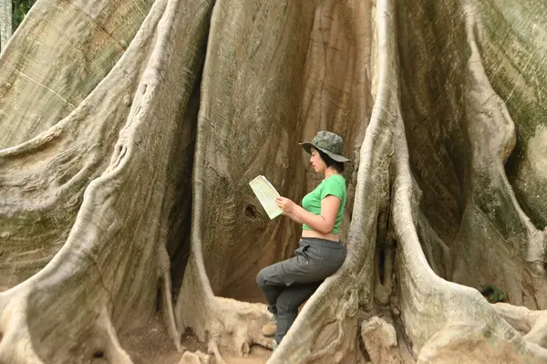 かなりアジアの女性は大きな木の根に地図を見ています この木は非常に大きく タイの観光客のための人気のアトラクションです タイのウタイタニ県に位置する — ストック写真