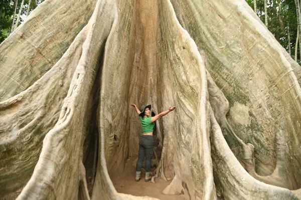 Piękna Azjatka Radosna Szczęśliwa Podnóża Wielkiego Drzewa Drzewo Jest Bardzo — Zdjęcie stockowe