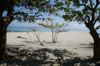 Gölgeli ağaçlar ve güneşli, sıcak ve açık bir günde güzel beyaz kumsallar..