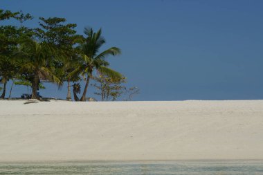 Güneşli, sıcak ve açık bir günde palmiye ağaçları olan güzel beyaz kumsal..