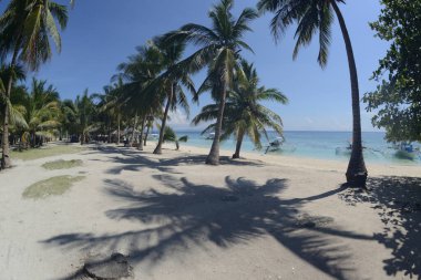 Güneşli, sıcak ve açık bir günde, gölgeli hindistan cevizi palmiyeleri ve güzel kumlu kumsallar..
