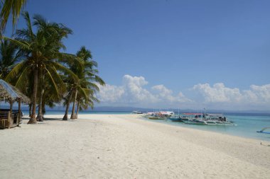 Güneşli, sıcak ve açık bir günde palmiye ağaçları olan güzel beyaz kumsal..