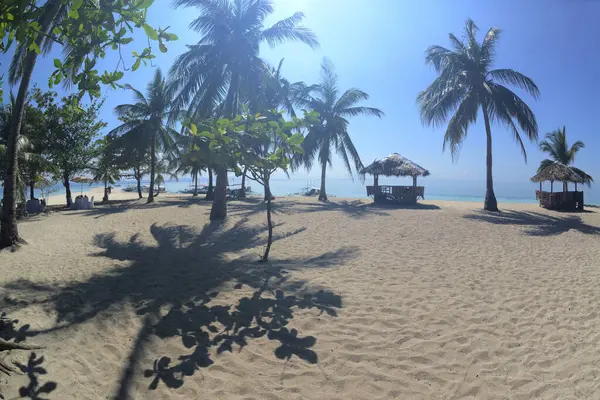 Coconut palm trees with shadow and hut of beautiful white sand beach on a sunny, hot, and clear day.