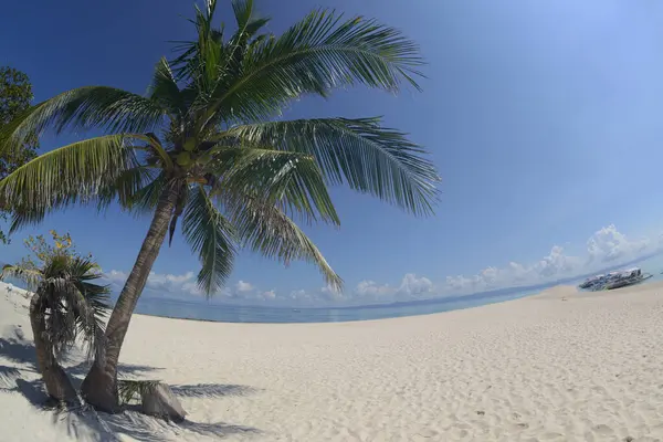 stock image Beautiful white sand beach with palm trees on a sunny, hot, and clear day.