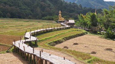 Phra Chao Ton Luang 'a giden bir bambu köprüsünün üst görüntüsü. Büyük, açık bir Buda heykeli. Wat Nakhuha 'daki pirinç tarlasının ortasında çok güzel doğal yerler var. Tayland 'ın Phrae eyaletinde yer almaktadır..