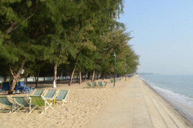 Sabah Tayland 'daki Cha-am Sahili' nde sahil sandalyeleri..