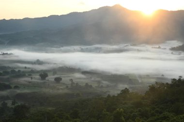 Phu Langka Orman Parkı güzel bir sis denizi olan bir dağ silsilesidir. Ve burası popüler bir yer. Sabahleyin her yer sisle çevrilidir. Tayland 'ın Phayao eyaletinde yer almaktadır..