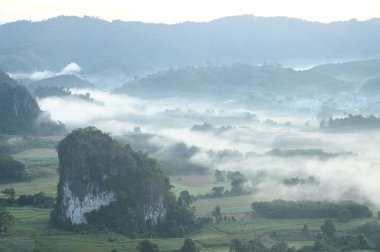 Phu Langka Orman Parkı bir dizi dağ sırasıdır. Sıradışı ve benzersiz şekilleri olan dağlar var. Ortasında tek başına yer alan bina, sabahları sisle çevrilidir. Tayland 'ın Phayao eyaletinde yer almaktadır..