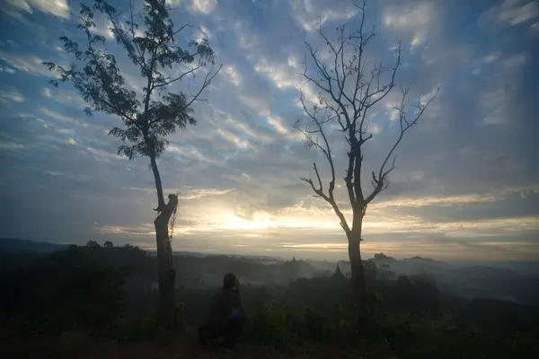 stock image Natural background of silhouette of dry trees and sky view with clouds in twilight time.