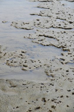 Islak çamur plajının soyut arkaplan ve dokusu.