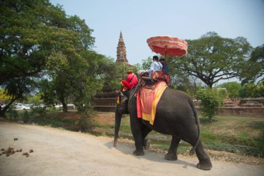 AYUTTHAYA, THAILAND - 13 Nisan 2024: Phra Nakhon Si Ayutthaya fil kampında fillere binen turistler. Turistler arasında çok popülerdir ve burası en çok ziyaret edilen şehirlerden biridir..