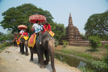 AYUTTHAYA, THAILAND - 13 Nisan 2024: Phra Nakhon Si Ayutthaya fil kampında fillere binen turistler. Turistler arasında çok popülerdir ve burası en çok ziyaret edilen şehirlerden biridir..