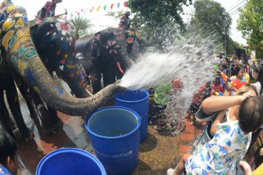 AYUTTAYA, THAILAND - 13 Nisan 2024: Songkran Festivali 13-15 Nisan tarihleri arasında geleneksel bir Yeni Yıl Gününde Ayuttaya Tarih Parkında fillerle su sıçratarak kutlanır..