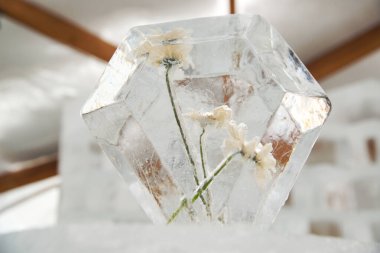 Buz küpündeki donmuş çiçekler gösteriş için..