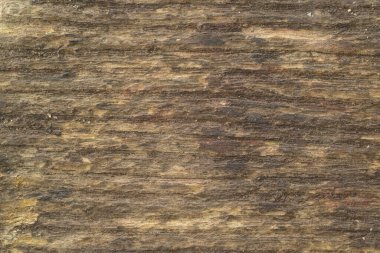 Açık renkli doğal ahşap dokunun dokusu ya da arka planı ağaç gövdesinin yüzeyi kabuk çatlaklarıyla doludur. İnşaat duvarı.