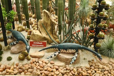 CHON BURI, THAILAND - 6 Eylül 2023: Nong Nooch Tropikal Bahçesindeki Çöl Bahçesindeki Kriptoklidus Dinozor Heykeli, bir diğer popüler turistik ilgi odağı.